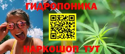 ECSTASY Ливны