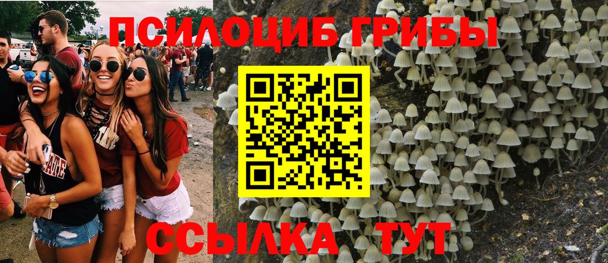 Фрязино  Псилоцибиновые грибы Cubensis  магазин  наркотиков  Вход с VPN 